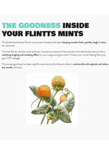Load image into Gallery viewer, Flintts Mints Mouth Watering Oral Delights
